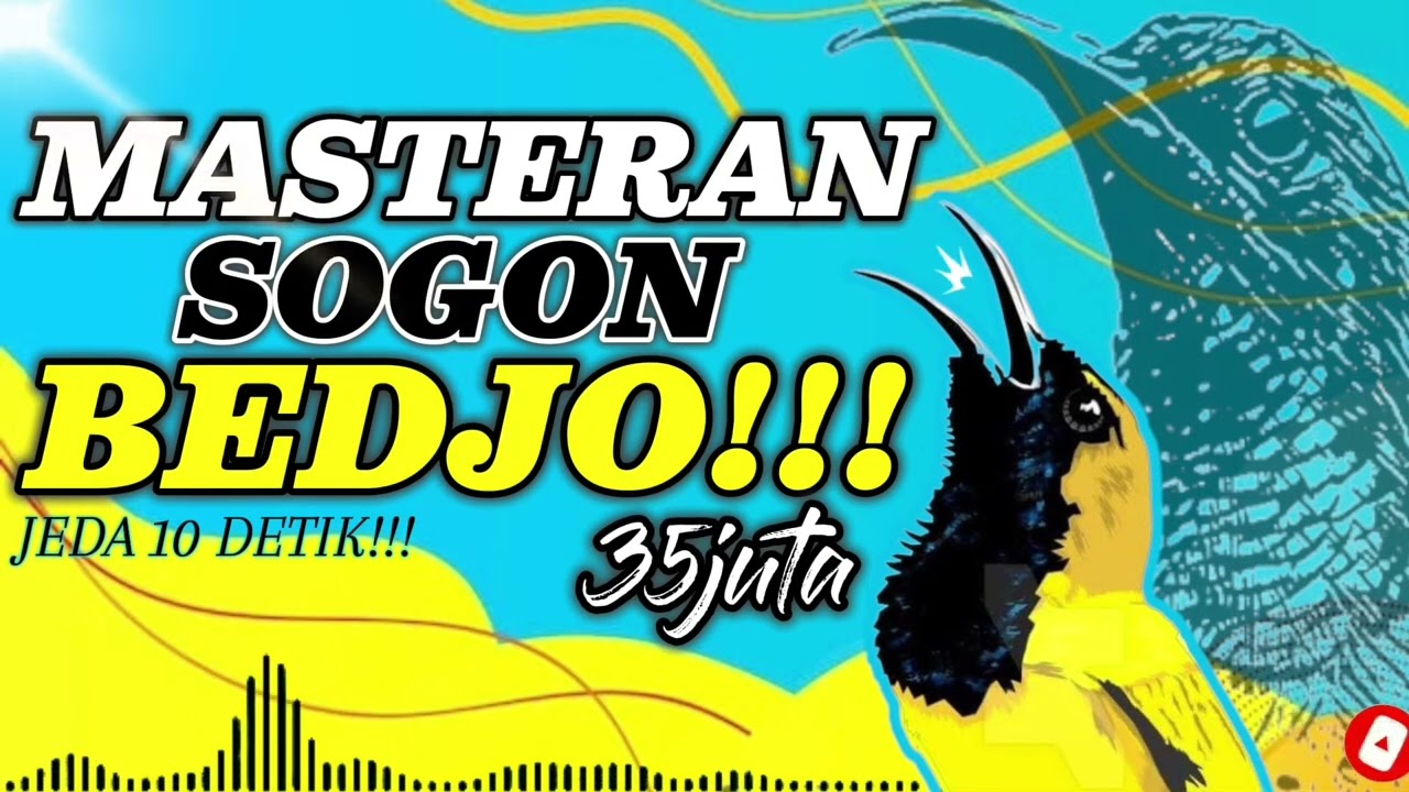 MASTERAN SOGON BEDJO 35 juta viral #sogon #sogongacor #sogokontonggacor #sogokontong