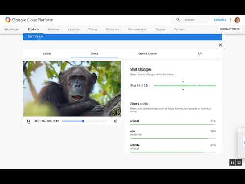 Demo of Video Intelligence by Google