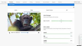Demo of Video Intelligence by Google