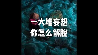 201609 一大堆妄想　你怎么解脱22186