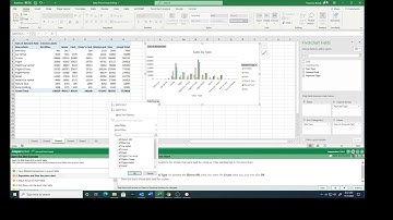 Excel Expert Lesson 3 9 Drilling Down into a Pivot Talbe & Pivot Chart