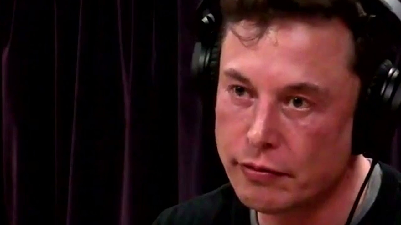 elon musk warned us