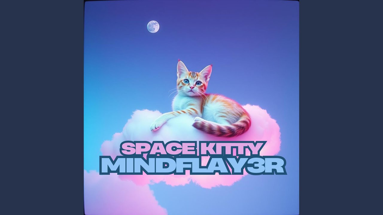 SPACE KITTY