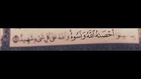 سورة المجادلة عبدالودود حنيف تلاوه خاشعة Quran