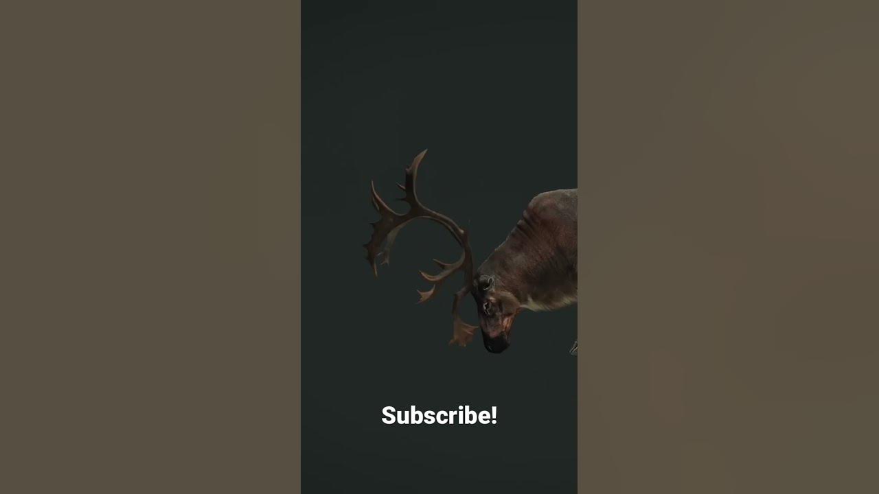 diamond-caribou-thehunter-call-of-the-wild-hunting-cotw