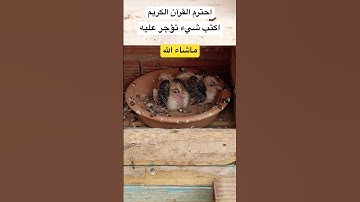 #قرآن #ماهر_المعيقلي #اكسبلور #quran #اكتب_شي_تؤجر_عليه #راحة_نفسية #لايك #تلاوة_خاشعة