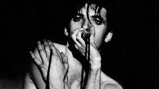 Fad Gadget &quot;The Box&quot;   DIB