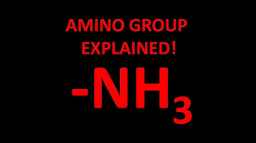 Amino functional group explained!