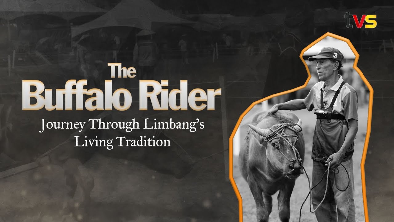 The Buffalo Rider: Journey's Through Limbang's Living Tradition | TVS ...