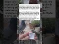 PALOMA MENSAJERA ENTREGA LISTA DE COMPRAS AJENA 🐦🛒😂