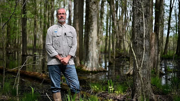 A Virtual Wetland Field Trip
