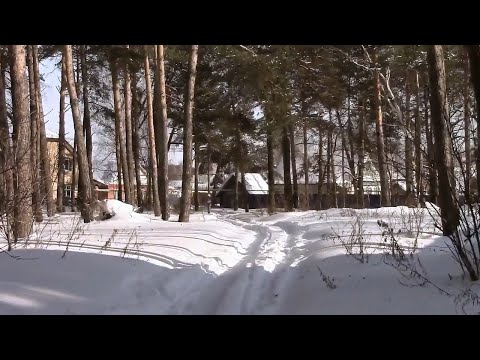 Зима в поселке Васильево. Район Лесхоз и часть Подстанции.