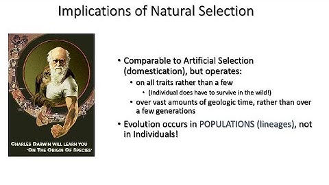 Lecture 12 Evolution, Part II: Evolutionary Patterns