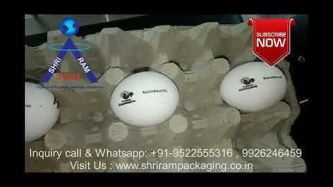 Automatic Eggs Printing Machine  |  Exp Date /Logo Printing On Eggs , Eggs Logo Marking Machine