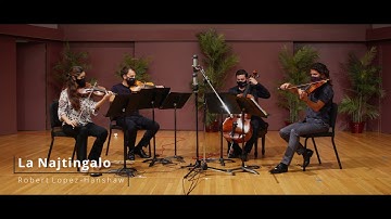 Microtonal String Quartets with the Partch Quartet - Full Concert