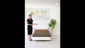 Giường sofa đa năng Colif Smart Cs | Nhỏ gọn đa năng - mở rộng không gian