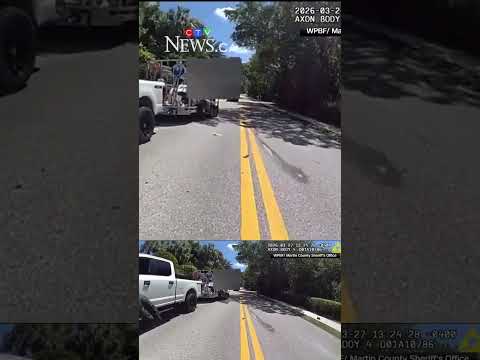 Tiger Woods bodycam footage released in rollover crash