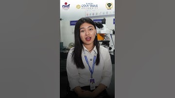 How Does Life Really Work? Let