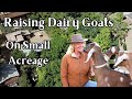 Raising dairy goats on a small acreage homestead  my layout