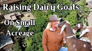 Raising Dairy Goats on a Small Acreage Homestead - My Layout