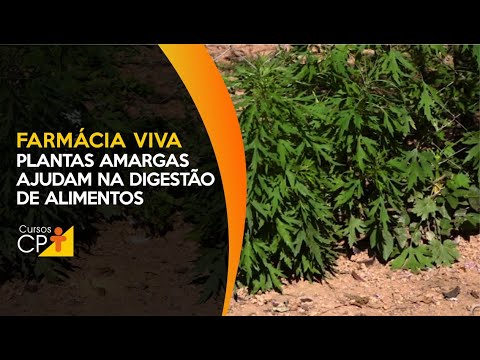 Farmácia Viva - Plantas amargas ajudam na dsigestão de alimentos