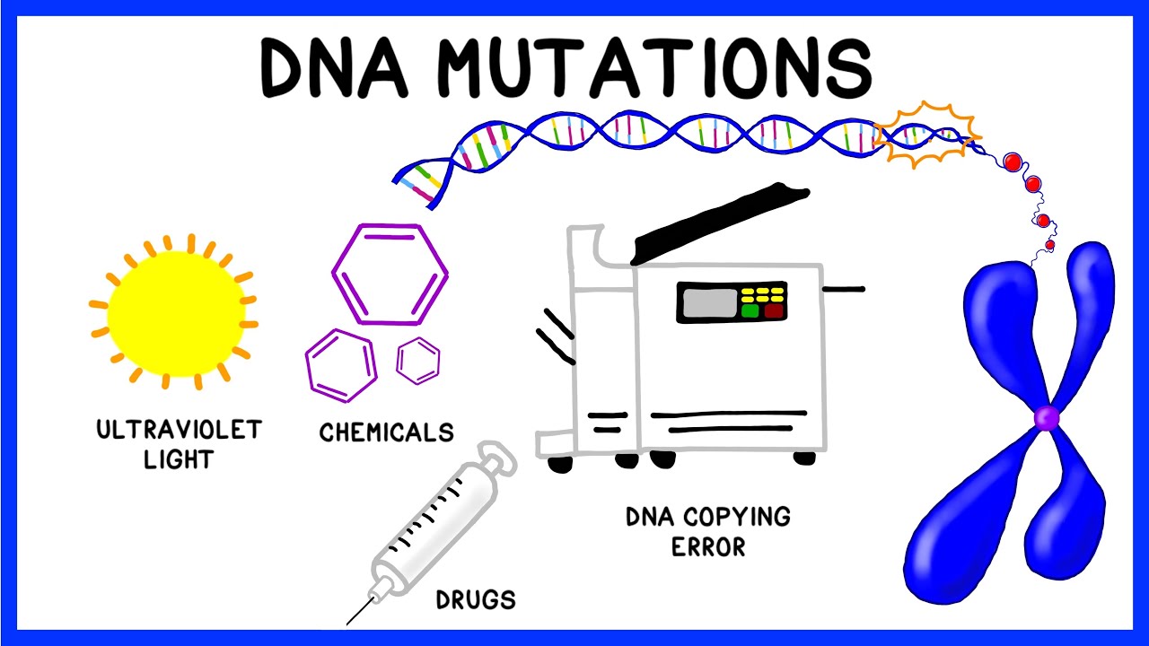 DNA Mutations - YouTube