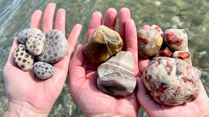 The Most Unusual Puddingstone I Have Ever Found, P...