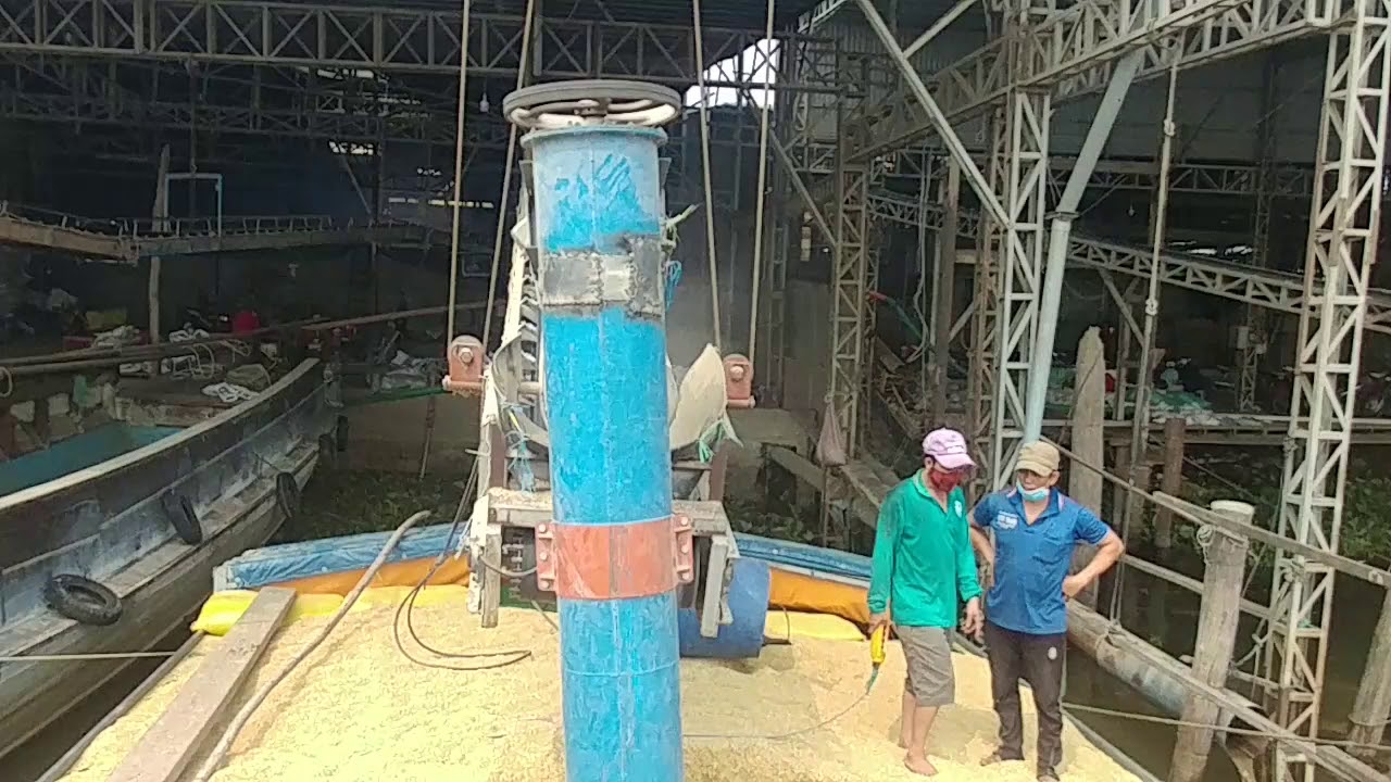 Large capacity rice drilling khoan lúa công suất lớn Phu Ghe TV