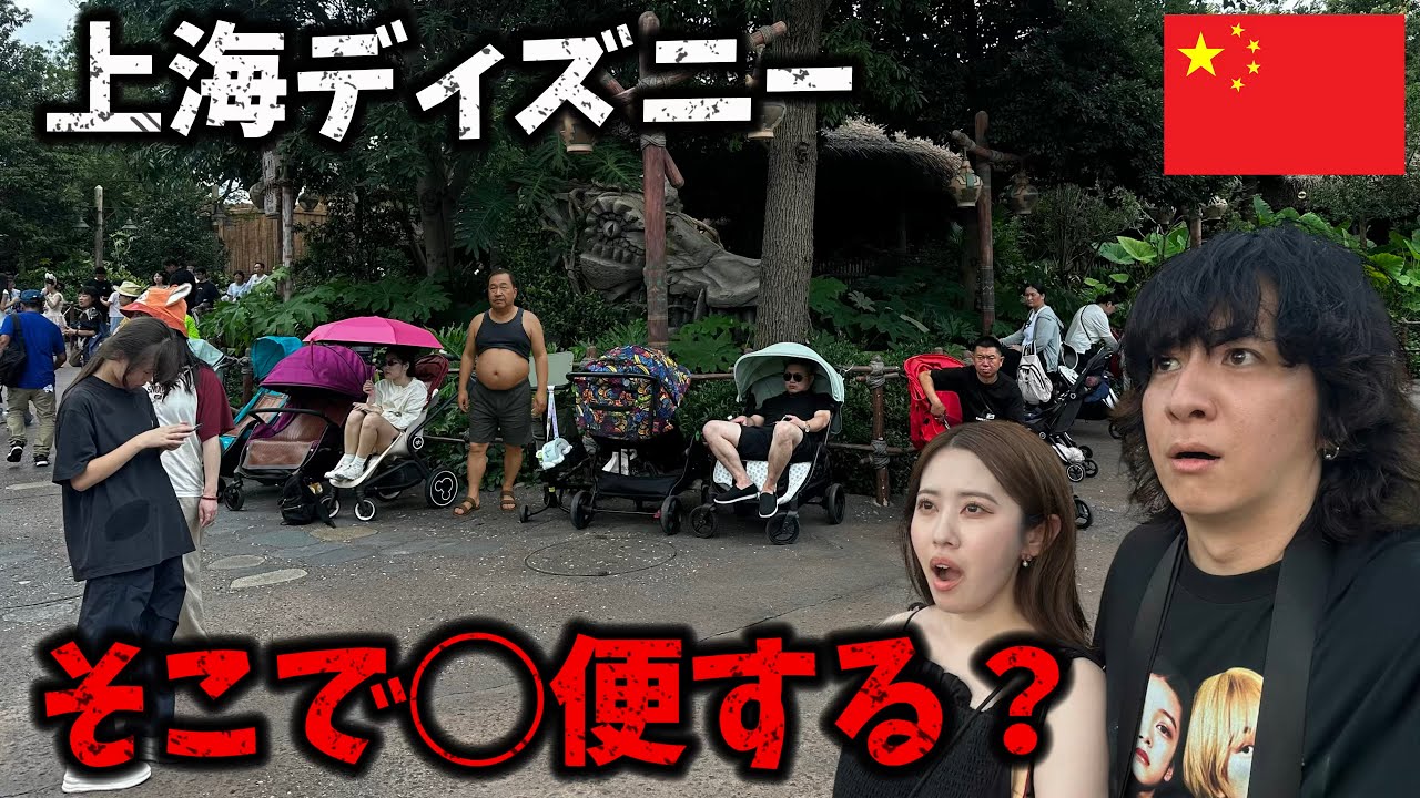 (未使用･未開封品)Musical Journey: Shanghai - Cultural Tour With [DVD] Too bad] We went to China Disneyland, where manners are
