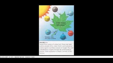 Systems Theory and Climate Dynamics part2