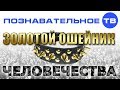 Золотой ошейник человечества (Познавательное ТВ, Валентин Катасонов)