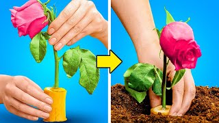 Easy Gardening Tricks And Tips And Cool Hacks For Growing Plants by 5-Minute Crafts Tech 1,427 views 8 days ago 12 minutes, 57 seconds