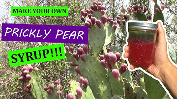 PRICKLY PEAR cactus {CATCH, CLEAN, COOK} - DIY Syrup!!!