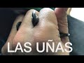 Así podrás limar las uñas de tu loro