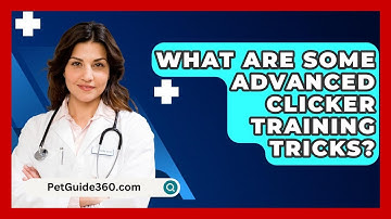 What Are Some Advanced Clicker Training Tricks? - PetGuide360.com