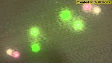 Loyal girl - Mr kaos