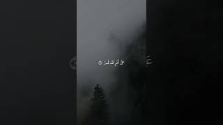 فدعا ربه اني مغلوب فانتصر - احمد العجمي / حالات واتس اب اسلامية