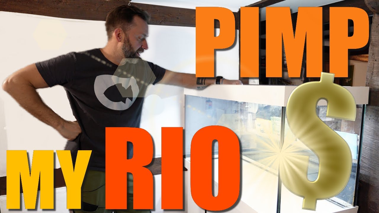 JUWEL RIO 350 braucht dringend neue EINRICHTUNG und TECHNIK!!!