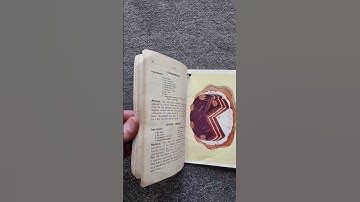 Trex Cookery Book 100 everyday recipes