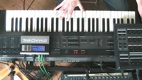 Polymoog Vox Humana (VMB)