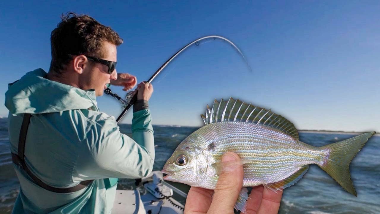 Pin Fish Redish EVERY BAIT GOT CRUSHED!! Using LIVE PINFISH For Massive Jetty REDFISH ...