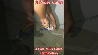 3 Phase 4 Core Cable Termination ▶️ | MCB Cable Connection #short #mcb
