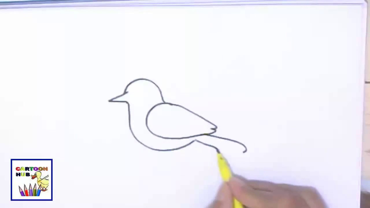 How to draw a BIRD easy steps step by step for children