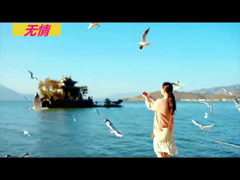 若心 一首粵語神曲《無情》 , 送給有情人聽，太有感覺了!!!