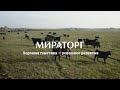 Лаборатория геномной селекции Мираторг