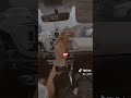 اكتسحت القلب كله صرت شريان ووريد❤🤍