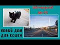 Поездка за котёнком - По дорогам и городам Германии с Nic-FR