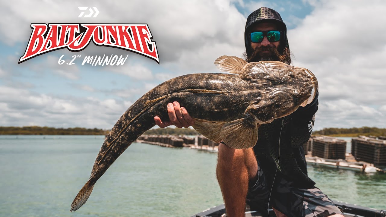 How To Catch Big Flathead YouTube how-to-catch-big-flathead-youtube