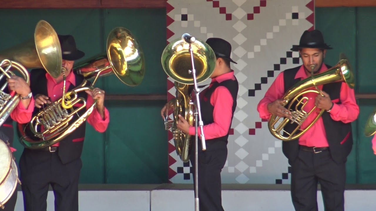 Fanfara de la Fastaci (Cozmesti) - Festivalul Fanfarelor Padureni 2018