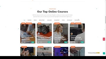 IGuru - Education and Courses WordPress Theme courses e-learning Yui